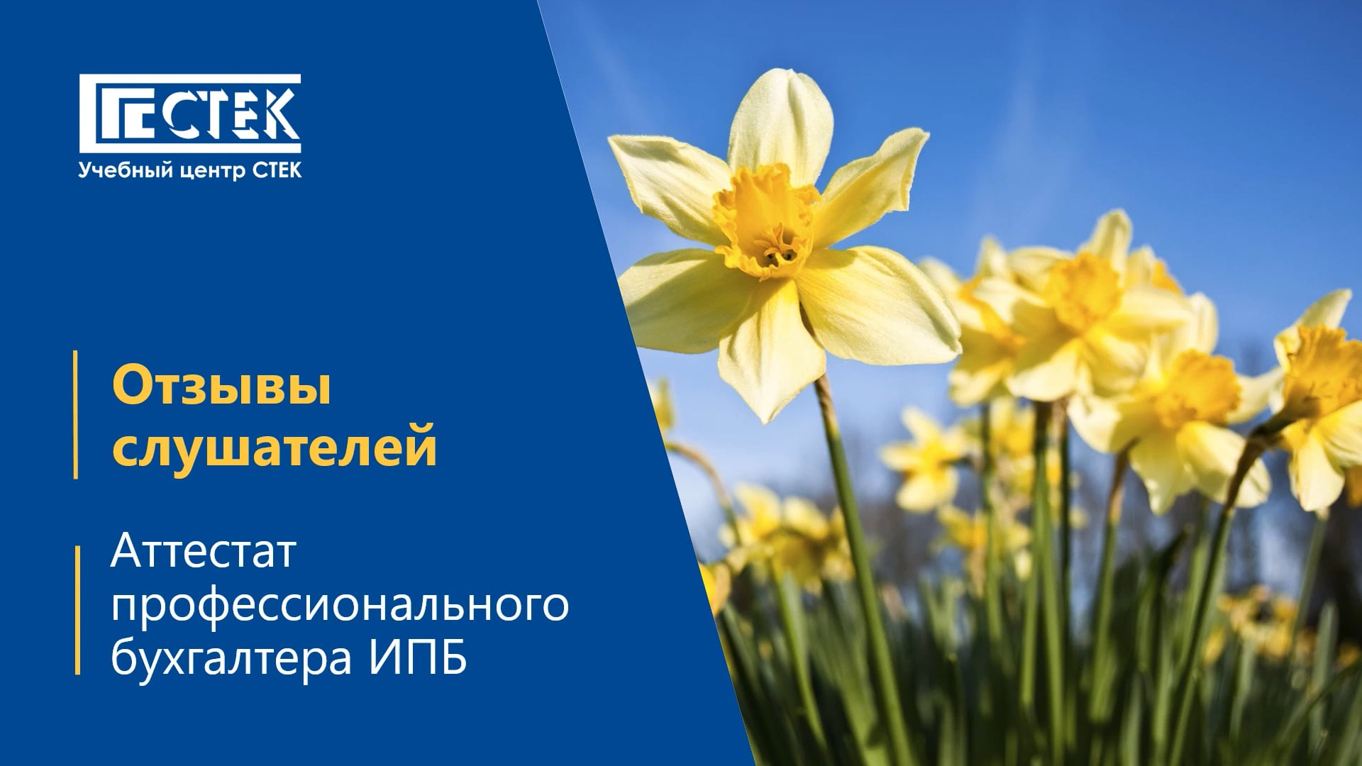 Отзыв выпускника - Голимбовская Екатерина