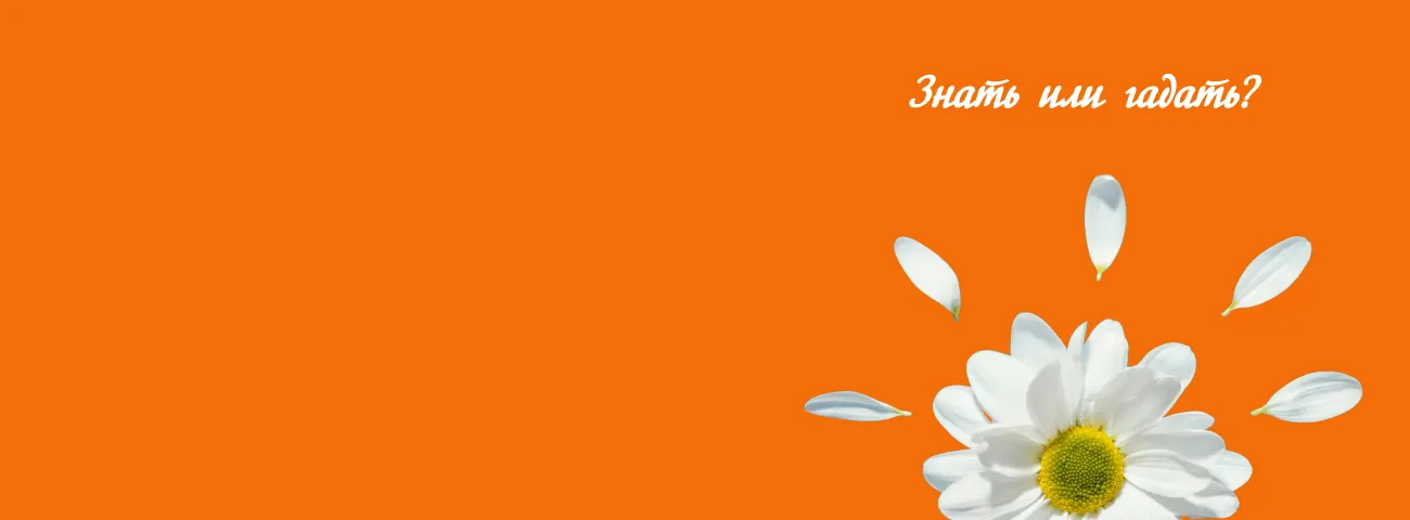 Налоговый консультант ИПБ