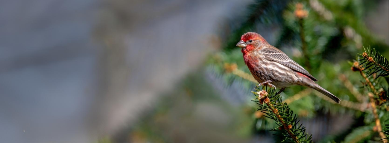 -20% на обучение для ранних пташек!